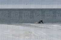 Әлки муниципаль районының 105 нче коткару бүлеге хезмәткәрләре күнекмә үткәрделәр