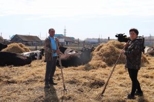 Роза и Фаннур Салаховы, проживающие в Нижнем Алькеево,  содержат в личном подсобном хозяйстве 15 буренок
