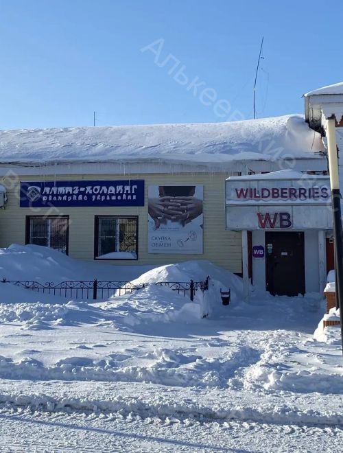 Александр Никошин потребовал срочно очистить крыши зданий от снега