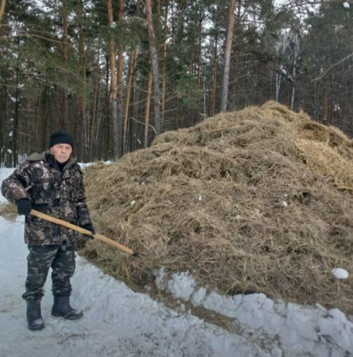 Әлки урманчылыгында язгы урман культуралары чорына әзерләнәләр