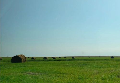 Для владельцев скота на полях Алькеевского района оставляют солому