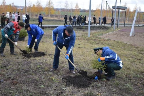 Базарлы Матак авылында “Урман утырту көне” акциясе узды