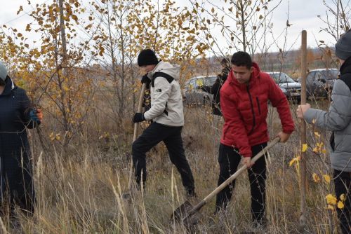 Базарлы Матак авылында “Урман утырту көне” акциясе узды