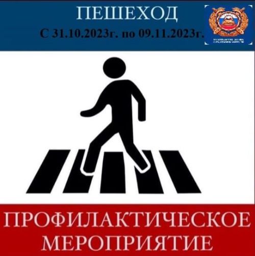 В Алькеевском районе проходит профилактическое мероприятие «Пешеход»