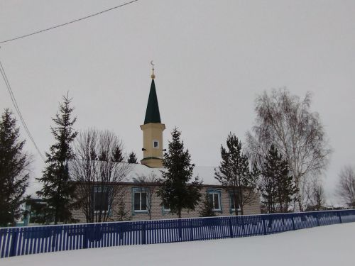Утыз ел элек Яңа Салман авылында тантаналы төстә мәчет ачылды