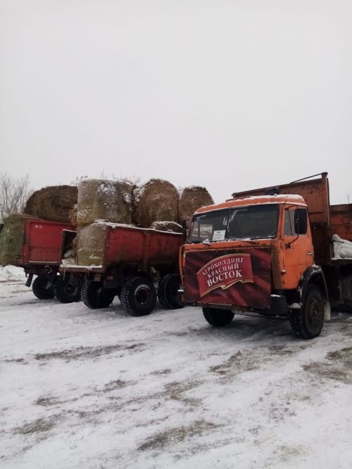 В Юхмачах состоялась сельхоз ярмарка