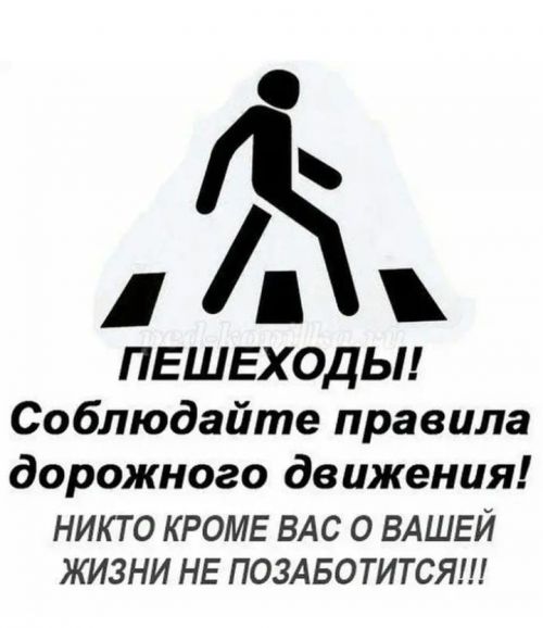 Безопасность на дороге зависит в совокупности и от пешеходов, и от водителей