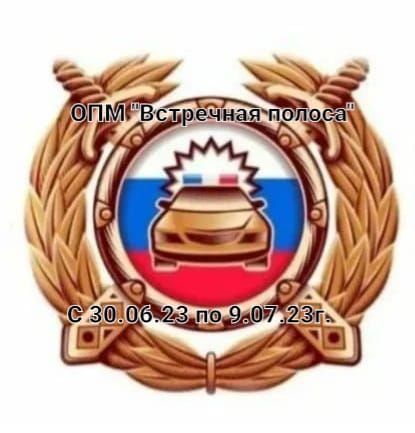 В Алькеевском районе проходит  мероприятие «Встречная полоса»