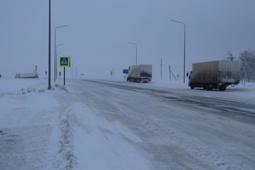 Как действовать во время сильной метели