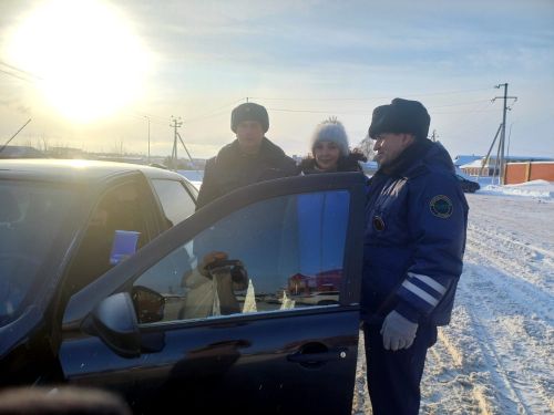 Сотрудники отделения Госавтоинспекции ОМВД России по Алькеевскому району провели акцию