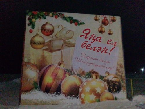 Түбән Әлки авылын берничә чыршы бизи