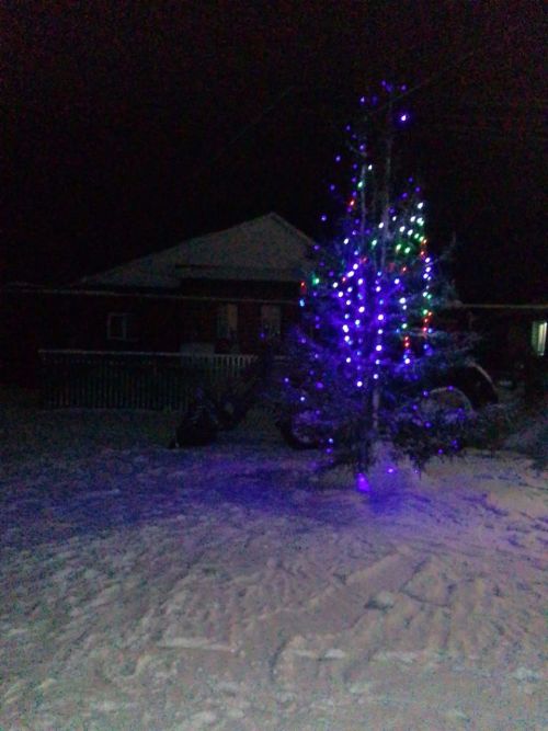 Село Нижнее Алькеево украшают много елок