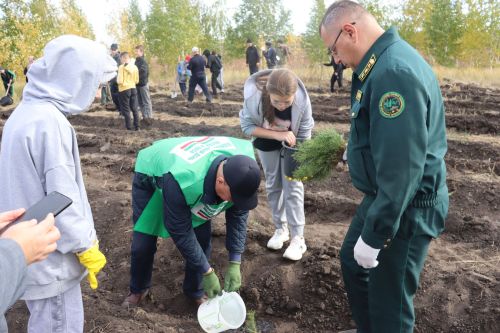 Әлки районында агачлар утыртылды