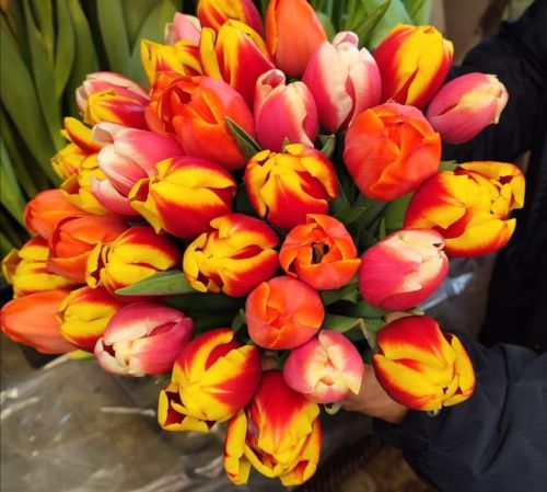 Җирле үзидарә үсешенә нәтиҗәле өлеш керткәннәре өчен әлкилеләргә  Рәхмәт хаты тапшырылды
