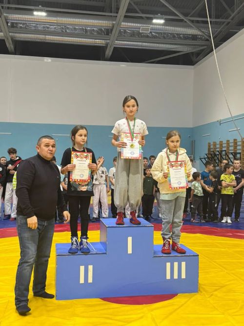 Әлки спортчылары Аксубай районында көрәштә призлы урыннар алдылар