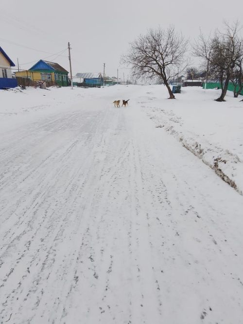 Борискино авыл җирлегендә 8 халык вәкиле гомер итә
