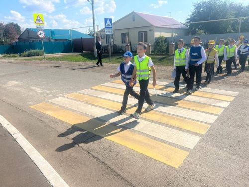 С 26 мая по 8 июня в Алькеевском районе проводится профилактическое мероприятие «Внимание – дети!»