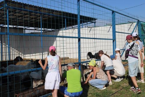 Районыбызда республикакүләм “Ләкләк көне” үтте