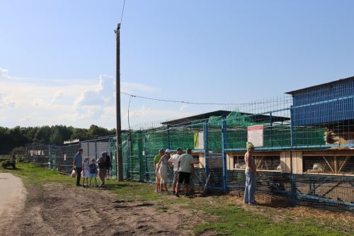 Районыбызда республикакүләм “Ләкләк көне” үтте