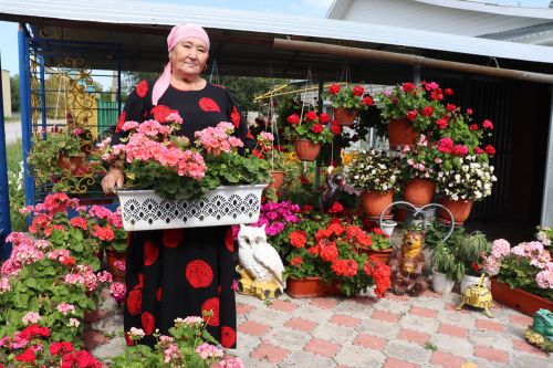Базарлы Матакта яшәүче Әлфинур Хәлиуллина чәчәкләр ярата