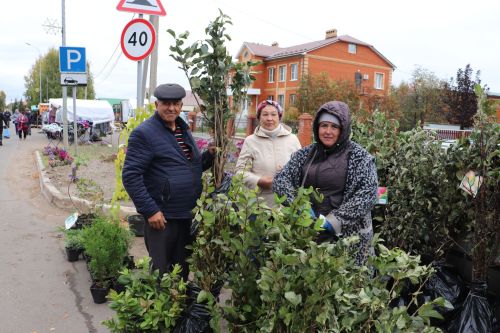 Базарлы Матакта Халыкара өлкәннәр көне уңаеннан ярминкә узды