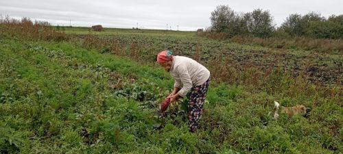 Надежда Турова, из села Демидовка, собирает грибы, заготавливает гренки, варит салаты для СВО