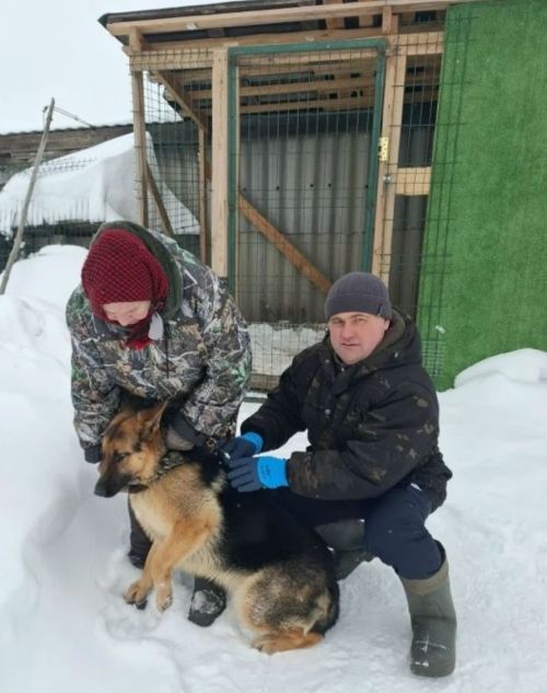 Ветеринарная служба Алькеевского муниципального района осуществляет деятельность по чипированию домашних животных