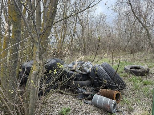 В Алькеевском районе провели санитарно-экологический рейд