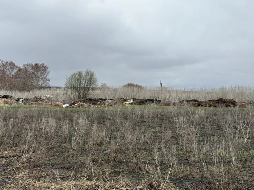 В Алькеевском районе провели санитарно-экологический рейд