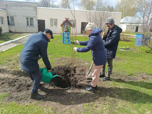 В Юхмачинском доме-интернате прошла акция «Сад памяти»