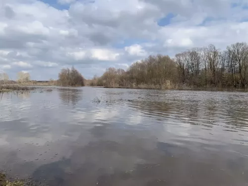 В реках Алькеевском района снизился уровень воды