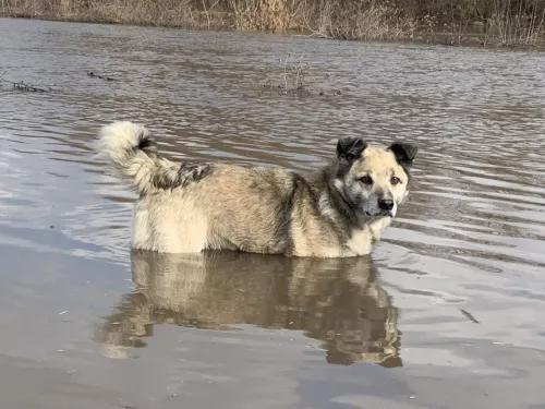 В реках Алькеевском района снизился уровень воды
