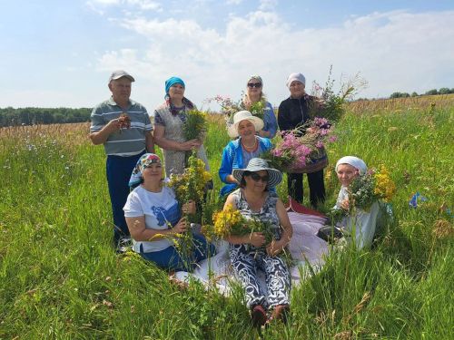 Әлки районында социаль хезмәт алучылар фитопрогулкада катнаштылар
