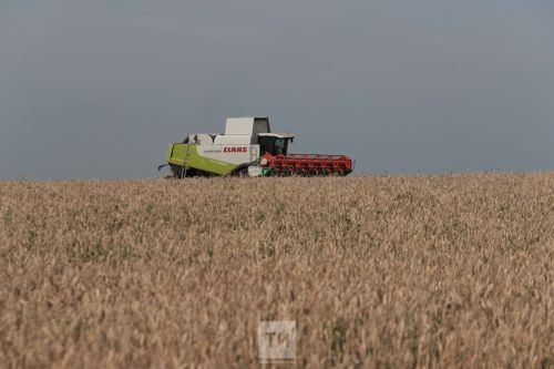 Әлки басулары һәр гектарыннан уртача 35 центнердан артык чыга