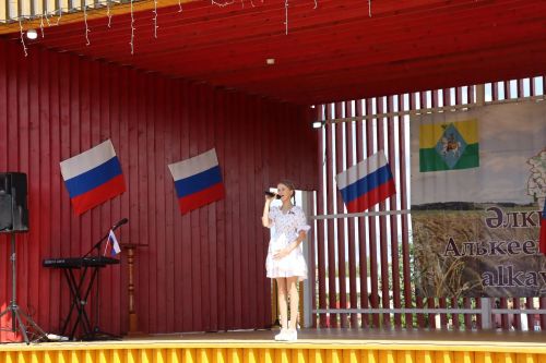 В Алькеевском районе прошло празднование Дня Государственного флага России