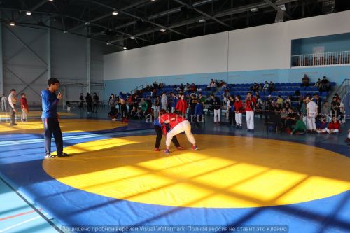 Фестиваль по борьбе на поясах на призы главы района