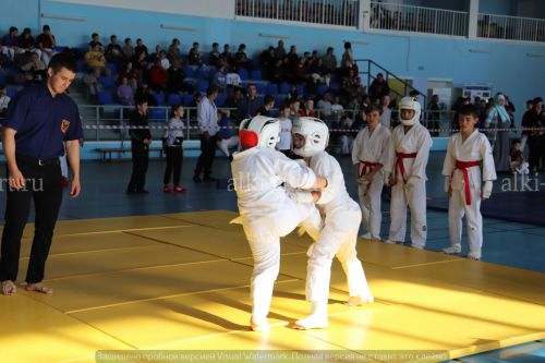 Фестиваль по борьбе на поясах на призы главы района