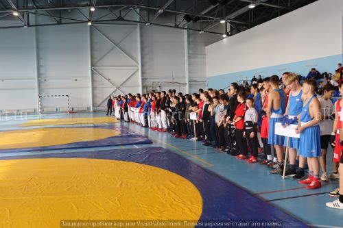 Фестиваль по борьбе на поясах на призы главы района