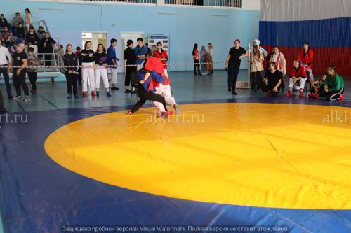 Фестиваль по борьбе на поясах на призы главы района