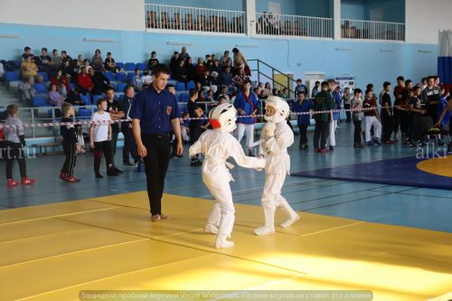 Фестиваль по борьбе на поясах на призы главы района