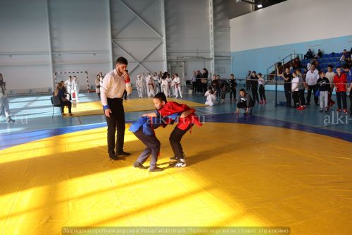 Фестиваль по борьбе на поясах на призы главы района