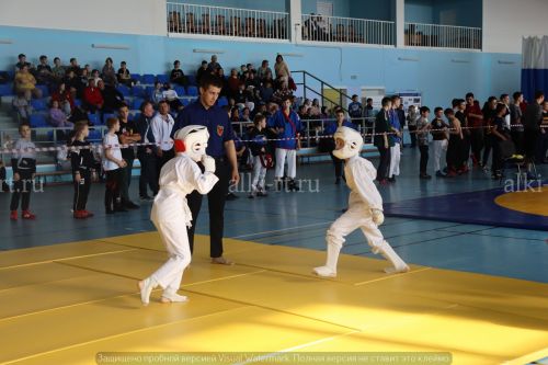 Фестиваль по борьбе на поясах на призы главы района