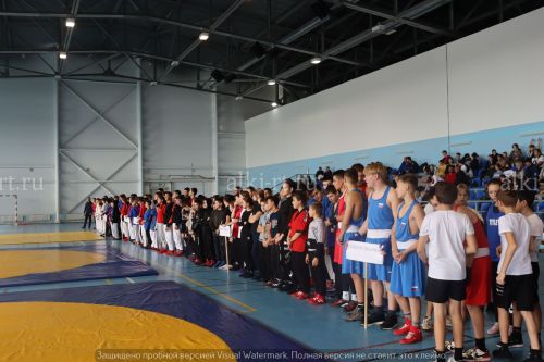 Фестиваль по борьбе на поясах на призы главы района