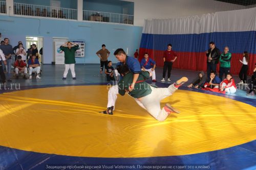 Фестиваль по борьбе на поясах на призы главы района