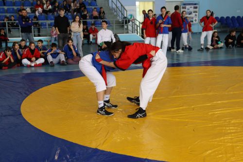 Республиканский турнир по борьбе на поясах посвящённый памяти депутата Госдумы РФ Айрата Хайруллина
