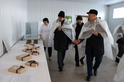 XXI заседание Совета Алькеевского муниципального района.