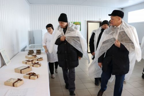 XXI заседание Совета Алькеевского муниципального района.
