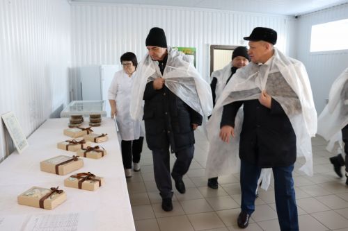 XXI заседание Совета Алькеевского муниципального района.
