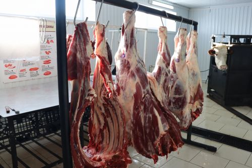 XXI заседание Совета Алькеевского муниципального района.