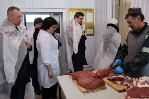 XXI заседание Совета Алькеевского муниципального района.